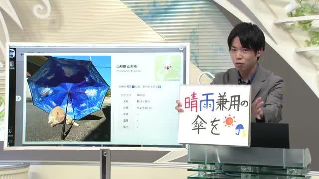 【エンドトーク】「晴れ雨兼用の傘を」12日のポイント＆きょうの1枚　山形 画像
