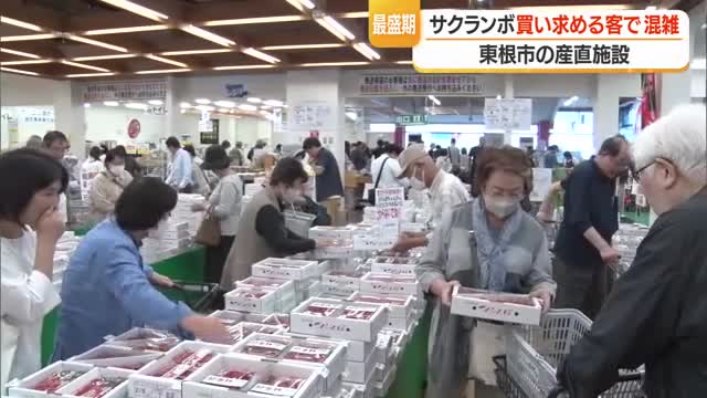 10秒おきに1人の入店規制　サクランボ「佐藤錦」発祥の地・東根市の産直大にぎわい　県外からも　山形 画像