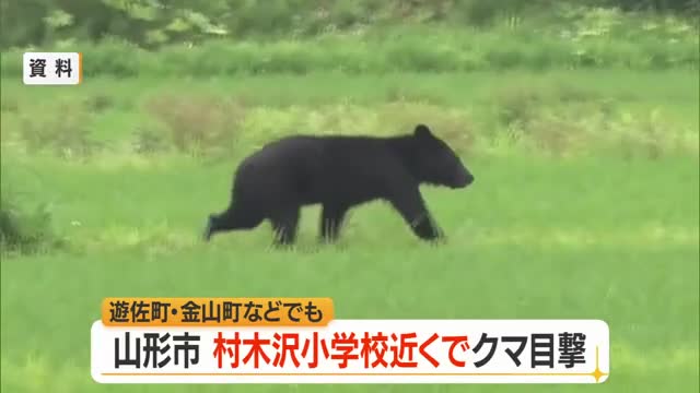 【クマ出没】村木沢小学校から西へ200メートルの雑木林で目撃　遊佐町比子・金山町でも目撃　山形 画像