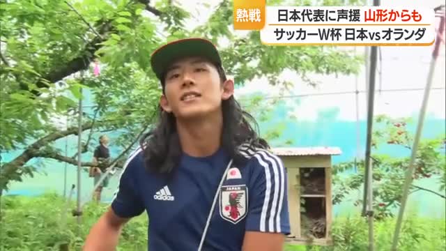 Ｗ杯・日本vsオランダ　価値あるドロー！　県内からも声援・サクランボ農家は収穫しながら応援　山形 画像