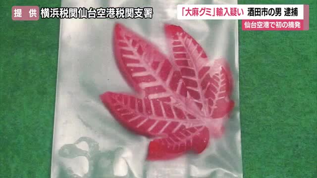大麻グミ輸入摘発・仙台空港初…酒田市山居町の32歳会社員逮捕・タイから持ち込んだ疑い　山形 画像