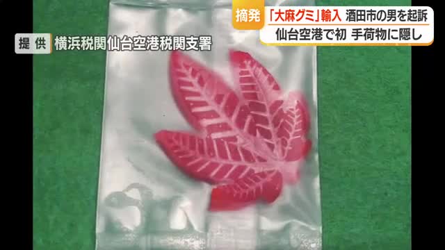 タイから仙台へ「大麻グミ」輸入で酒田市の男起訴...バンコク線就航後、仙台空港で警戒強め初摘発　山形 画像