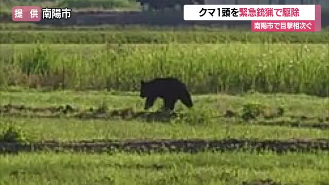 【クマ出没】JR赤湯駅など早朝に目撃相次ぎ愛露橋北側で緊急銃猟　2026年に入り3件目　山形・南陽市 画像