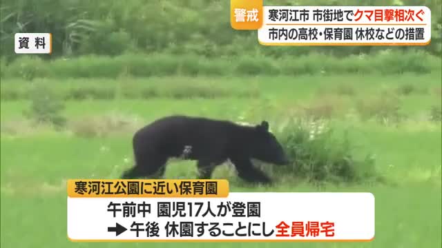 【クマ出没】東北グンゼ工場敷地内・寒河江公園などで目撃相次ぐ　高校・保育園など休校措置　山形・寒河江 画像