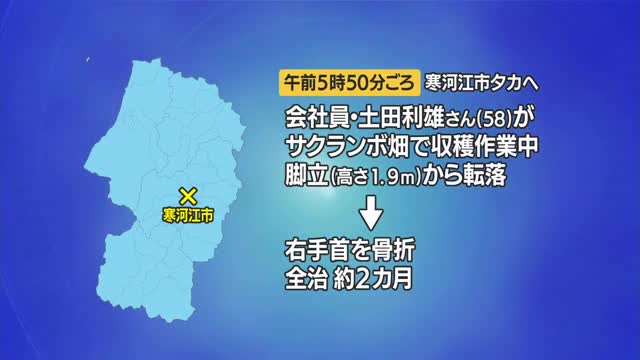 サクランボ収穫作業中に1.9メートルから転落し全治約2カ月の重傷　脚立で足滑らせる　山形・寒河江市 画像