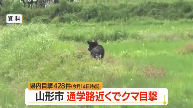【クマ出没】山形市下椹沢の小学校通学路そばの河川敷で目撃　2026年目撃428件（前年+131件） 画像