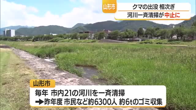相次ぐクマの出没・市民から不安の声相次ぎ「河川一斉清掃」中止　山形 画像