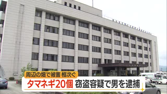 畑からタマネギ20個を盗んだ疑いで山形市の無職の男（63）逮捕　別の畑所有者からも相談あり　山形 画像