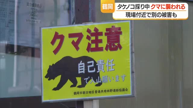 【クマ出没】襲われた時にクマよけスプレー使えず...40代男性が子グマに腰かまれ近くに親グマの姿も　山形 画像