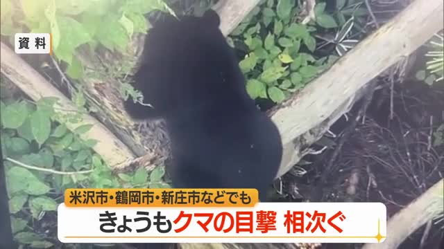 【クマ出没】線路上に体長約1メートルの成獣1頭　東隣には福祉施設・病院　山形・米沢市三沢 画像