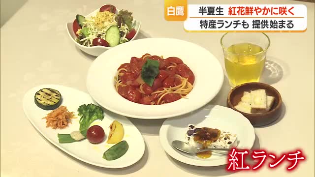 きょうは
