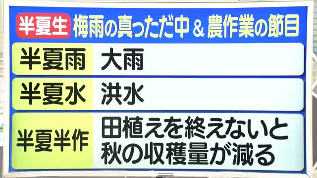 【天気／山形】半夏水（はんげみず）は洪水のこと＆3日の詳しい天気　中村友祐気象予報士の天気予報(2) 画像