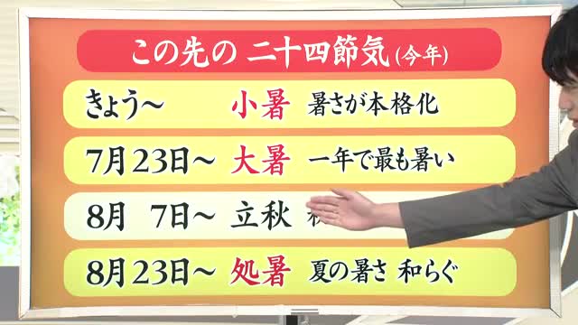 【天気／山形】小暑・大暑・処暑の3つ＆8日の詳しい天気　中村友祐気象予報士の天気予報(2) 画像