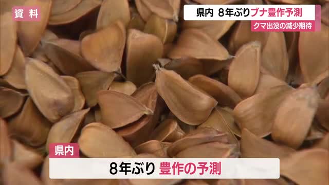 クマの餌
