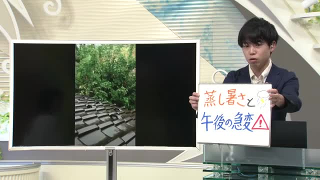 【エンドトーク】「蒸し暑さと午後の天気急変」17日のポイント＆きょうの1枚　山形 画像