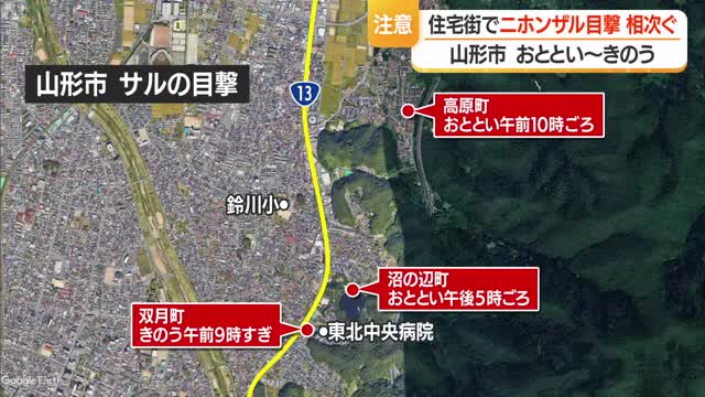 野生のニホンザル・山形市内の住宅街に出没相次ぐ　「絶対に餌を与えないで」　山形 画像