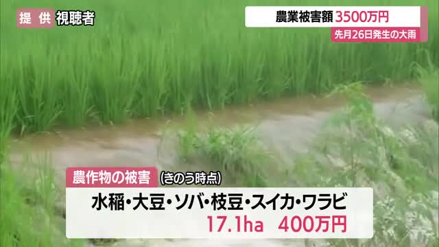 山形　7月26日の大雨・県内の農業被害3500万円 画像