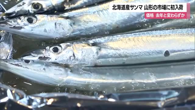秋の味覚・サンマ