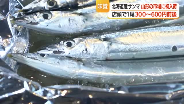 秋の味覚「サンマ」北海道から入荷　脂乗り良くサイズも大きい・今後の入荷量少ない見込み（前年比）　山形 画像