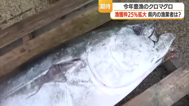 「単価下がり消費者手に取りやすくなる」　大型クロマグロ漁獲枠25％増・漁業関係者の声　山形・庄内浜 画像
