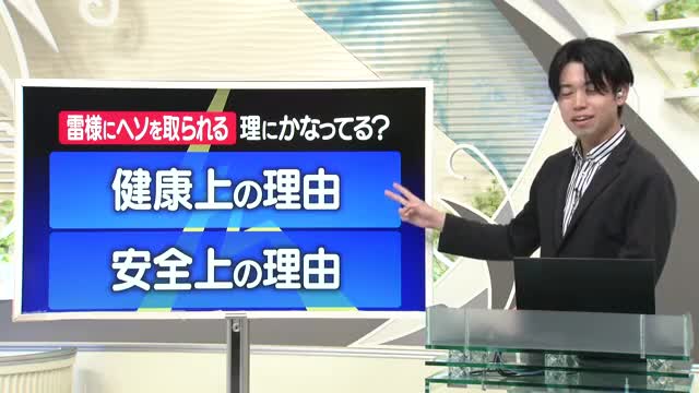 【天気／山形】ふりかえり＆「雷さまにヘソを取られる」理にかなってる理由　中村気象予報士の予報(1) 画像