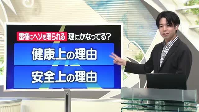 【天気／山形】ふりかえり＆「雷さまにヘソを取られる」理にかなってる理由　中村気象予報士の予報(1) 画像