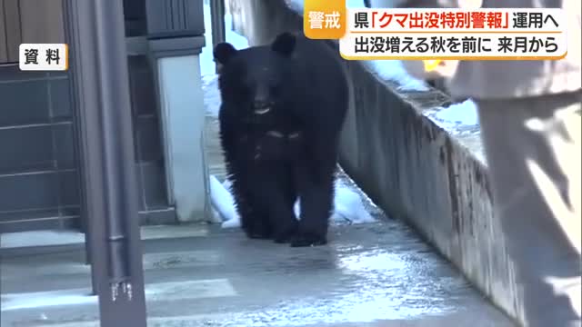 【クマ出没】9月1日から「特別警報」運用　特定地域に絞り注意促す　山形 画像