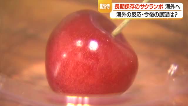 シンガポールで完売・特殊なガスで時間止めた長期保存サクランボ　賞味期限延びれば廃棄減る　山形 画像