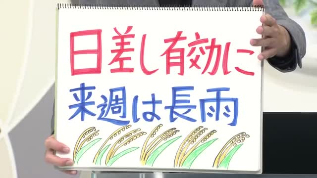 【エンドトーク】「日差し有効に・来週は長雨」週末のポイント　山形 画像