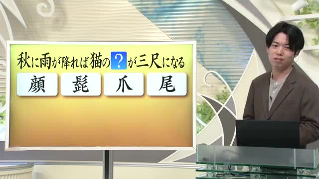【天気／山形】天気ふりかえり＆秋に雨が降るとネコの？？が三尺になる　中村友祐気象予報士の予報(1) 画像