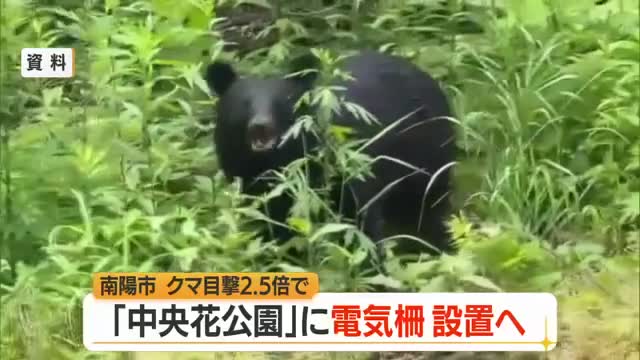 南陽市クマ目撃2.5倍増　中央花公園にクマよけの「電気柵」設置へ・700万円の補正予算案提出　山形 画像