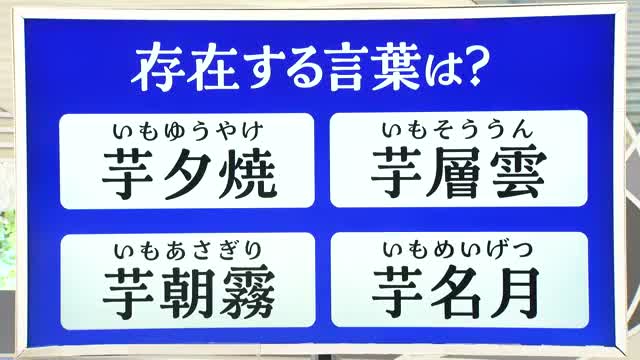 【天気／山形】天気ふりかえり＆