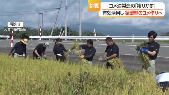 コメ→こめ油→稲作へ　「米ぬかの搾りかす」を肥料として活用・循環型コメづくり　山形・天童市 画像