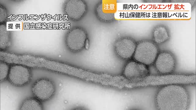 【インフルエンザ／山形】患者数279人（前週比+116人）　村山で注意報レベル　学年・学級閉鎖も増加 画像