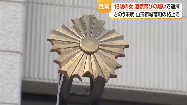 18歳無職の女を酒気帯び運転の疑いで逮捕・成人男性同乗　軽自動車が蛇行して走行　山形 画像