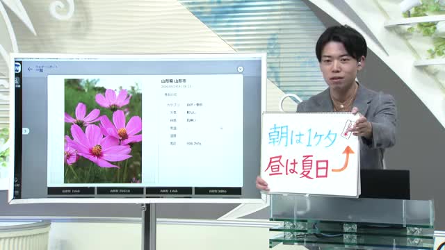 【エンドトーク】「朝は1桁気温・昼は夏日」30日のポイント＆きょうの1枚　山形 画像
