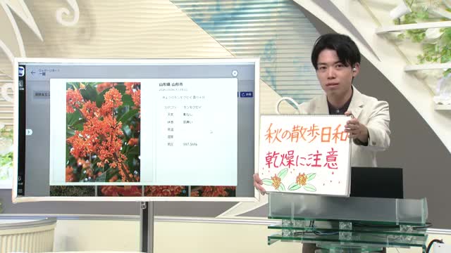 【エンドトーク】「秋の散歩日和・乾燥に注意」7日のポイント＆きょうの1枚　山形 画像