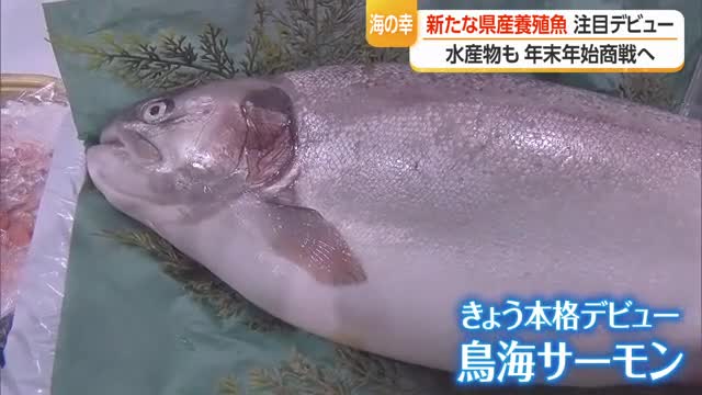 新たな県産養殖魚