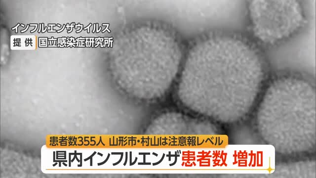 【インフルエンザ／山形】患者数355人（前週比+196人）　山形市・村山で注意報レベル 画像