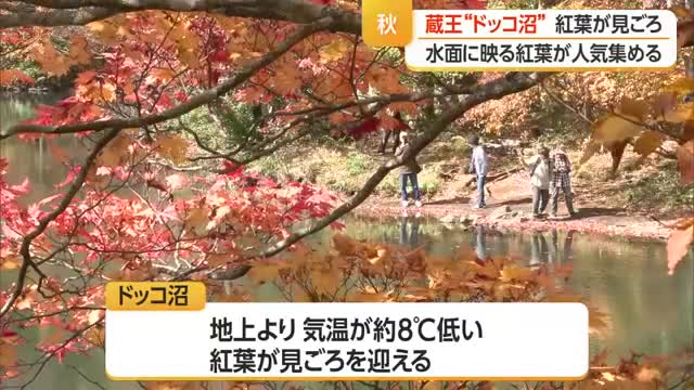 紅葉シーズン到来　蔵王ドッコ沼の見ごろは10月中旬まで　山形 画像