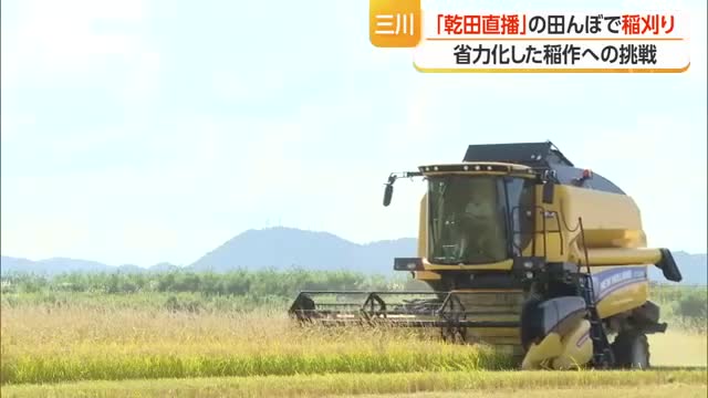 省力化した稲作への挑戦　乾田直播の田んぼで稲刈り　田植えした田んぼと同収量確保の見通し　山形・三川町 画像