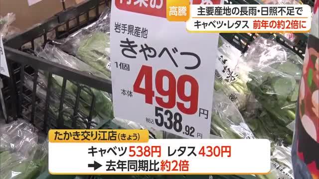キャベツ・レタスなど葉物野菜の価格約2倍に...主要産地の長雨・日照不足で　山形 画像