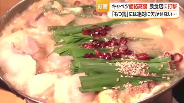 すでに年末価格で冬場が不安...もつ鍋には絶対に欠かせないキャベツ価格高騰・飲食店に打撃　山形 画像