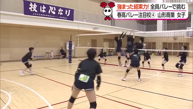 《春高注目校》粘り強い守備・上げるボールの質高め7年ぶり優勝目指す　結束力強まった山形商業・女子 画像