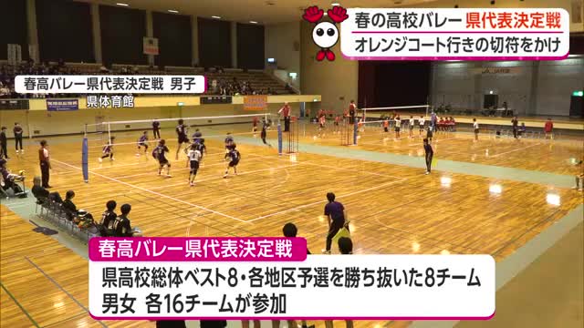 《春高バレー県代表決定戦》オレンジコートかけ開幕・男女ベスト8出そろう　決勝25日　山形 画像