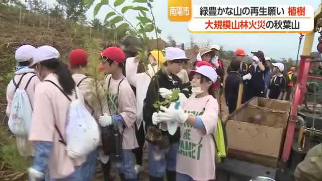 山林再生へツツジ・ヤマザクラなど1500本植樹　122ヘクタール焼失した秋葉山で　山形・南陽市 画像