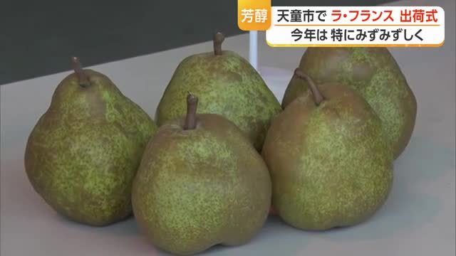 秋の味覚ラ・フランス　ことしは特にみずみずしい・約1800トンの出荷見込む（前年比3割増）　山形 画像