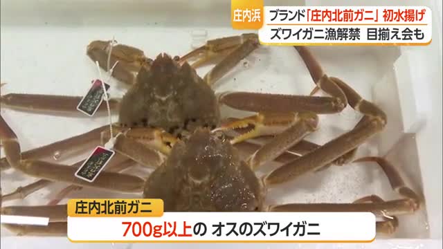 今季初の水揚げも！「庄内北前ガニ」品質確保へ目揃え会開催　山形 画像