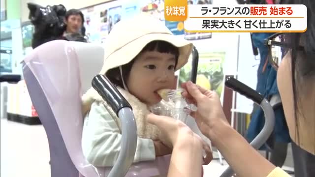 山形が生産量日本一「ラ・フランス」過去最も早い販売開始基準日　スーパーで宣伝活動　山形 画像