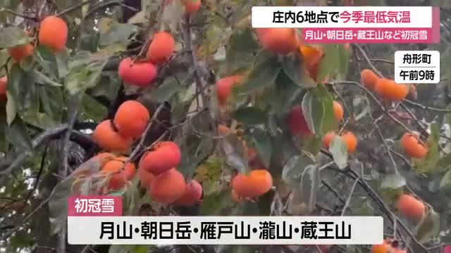 月山・朝日岳・蔵王山などで「初冠雪」　西高東低・冬型気圧配置の影響で今シーズン一番の冷え込みも　山形 画像